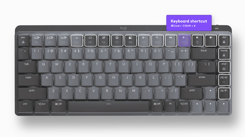 Logitech Logi Options+ app