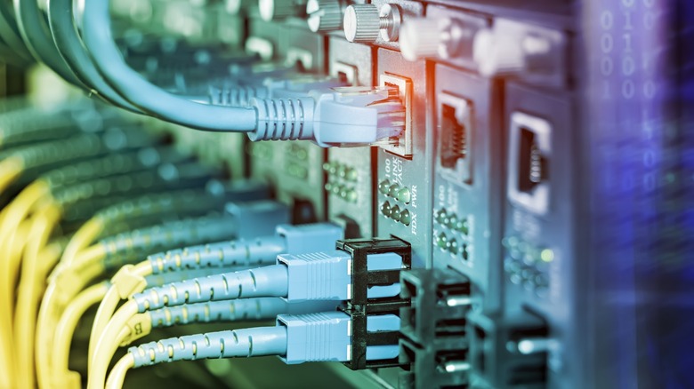 Internet cables plugged into a server