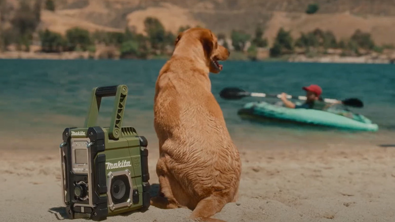 A dig sits besides the Outdoor Adventure18V LXT cordless Bluetooth radio on the lakeshore.