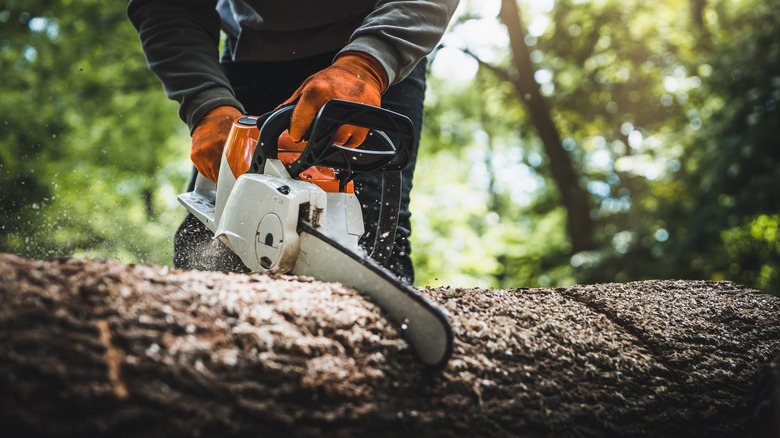 Man using chainsaw with orange gloves