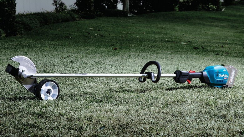 40V Max XGT Cordless Edger sitting on a lawn