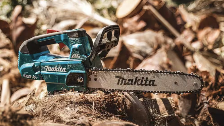 Makita chainsaw on cut down wood