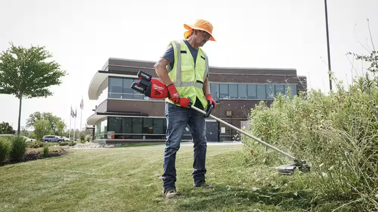 Man using weed eater on thick brush
