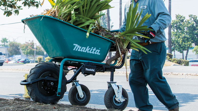 Makita battery-powered wheelbarrow in use
