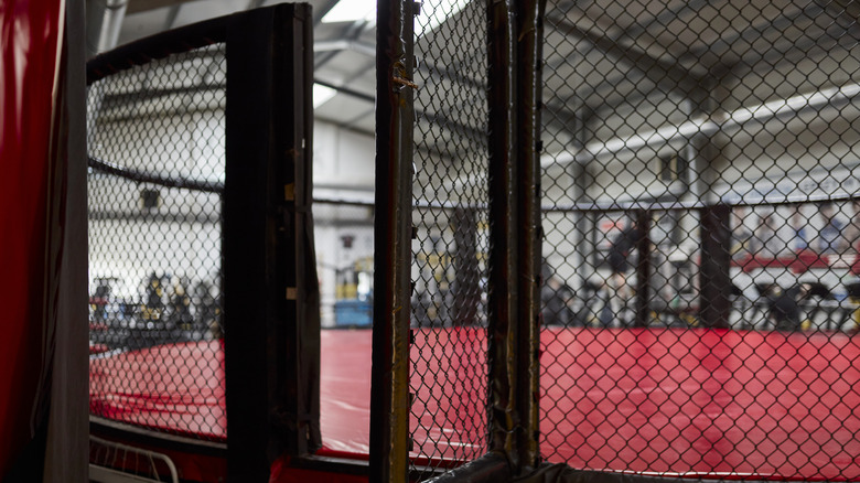 empty mma fighting cage