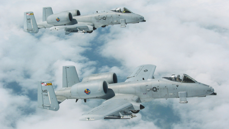 Two Maryland Air National Guard A-10s flying in formation.