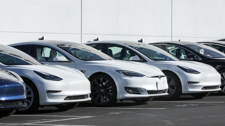 lot of Tesla vehicles