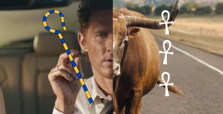 bull