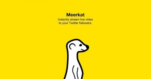 meerkat-11-600x315