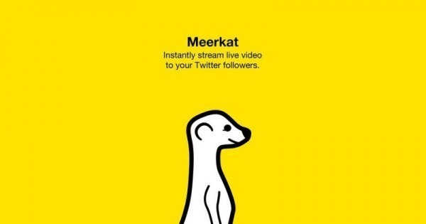 meerkat-11-600x3151-600x315