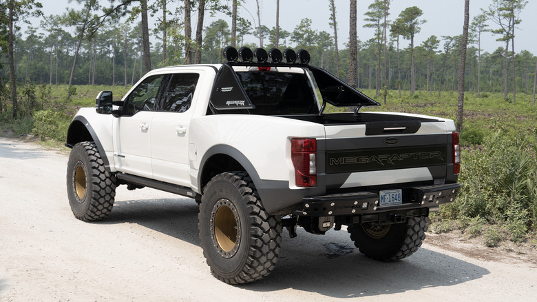 MegaRexx MegaRaptor rear three quarters