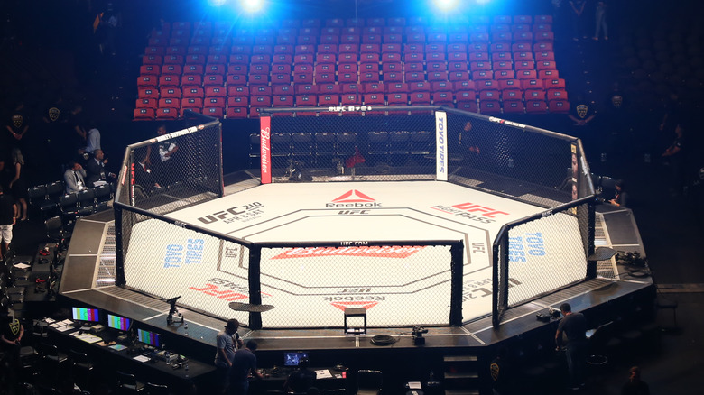 UFC Octagon fight stadium