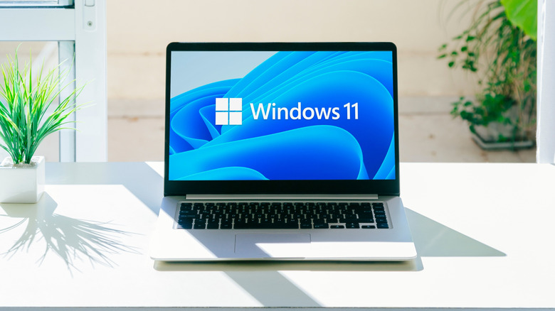 A Windows 11 splash screen on an unidentified laptop