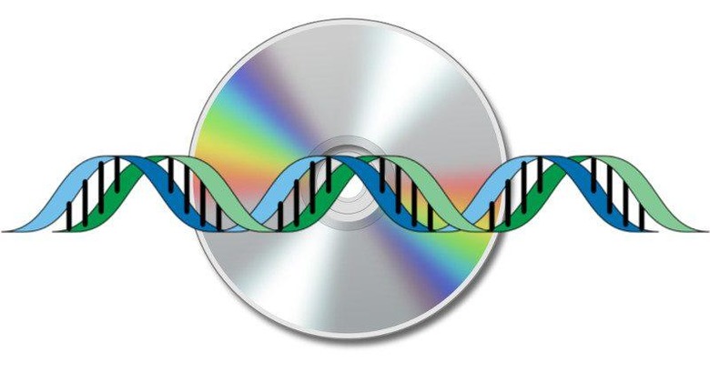 dna-cd