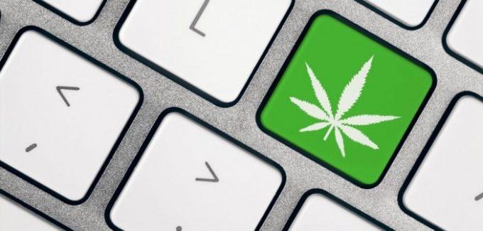 Microsoft will develop software to help legal marijuana businesses