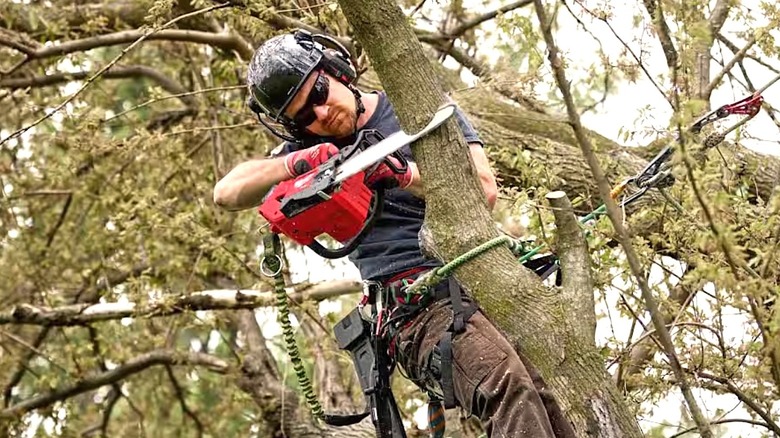 Person using Milwaukee M18 Chainsaw