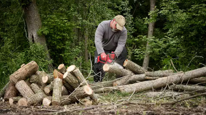 Milwaukee Pruning Saw