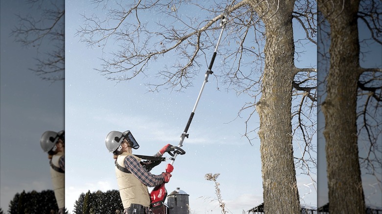Worker cutting branches with Milwaukee M18 Pole Saw