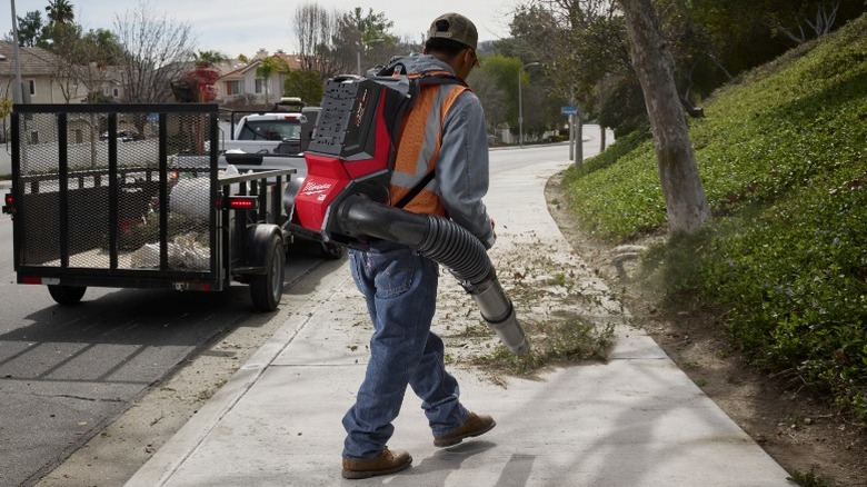 Man using MX Fuel Backpack Blower on clippings on sidewalk