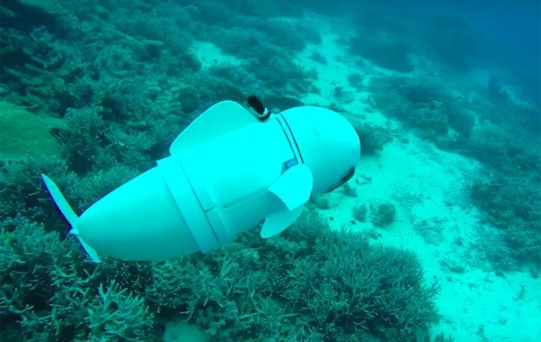 MIT's robot fish is nearly as speedy and squishy as the real thing