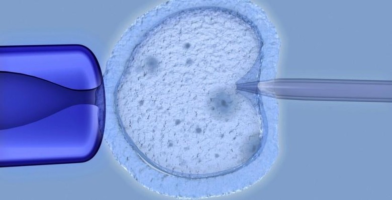 mitochondrial_replacement