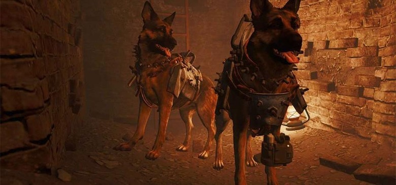 dogmeat-1