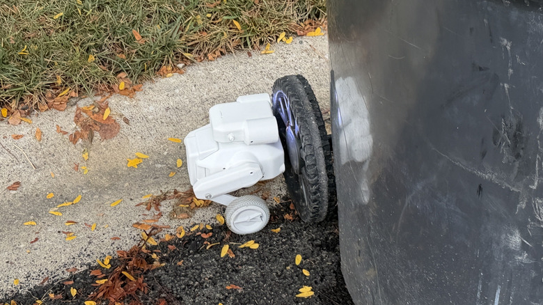 Beni ran into a garbage can