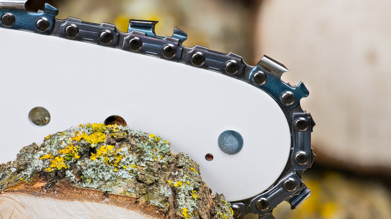 A chainsaw cutting through a log of wood