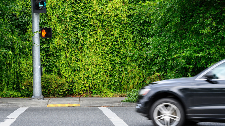 Car stopped at traffic signal