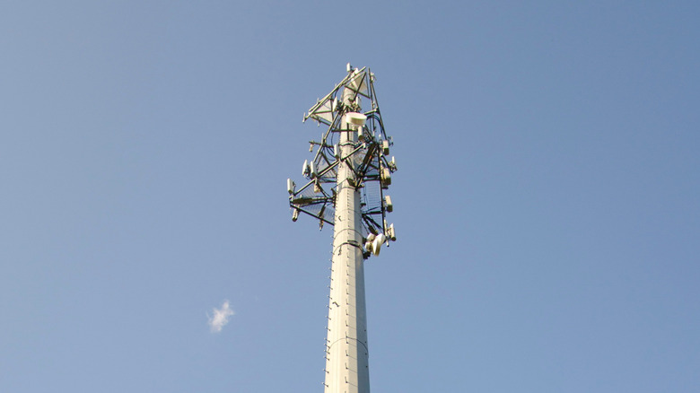 A tall gray monopole cell tower with three rings of antennas rising above pine trees
