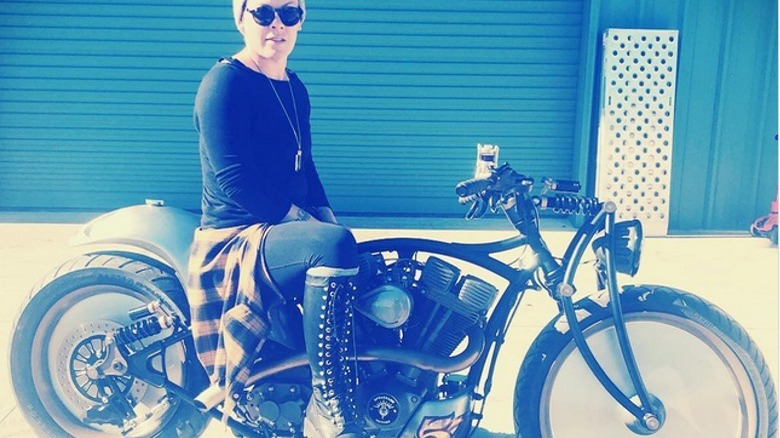 Pink sitting on motorcycle