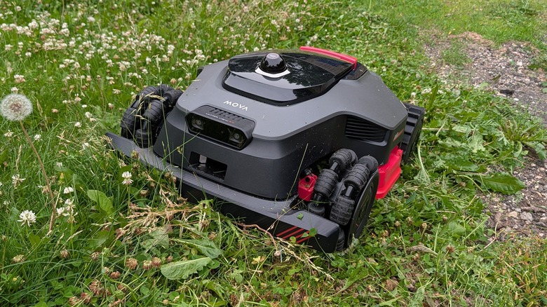 Mova robot mower in grass.