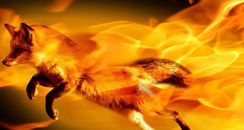 firefox