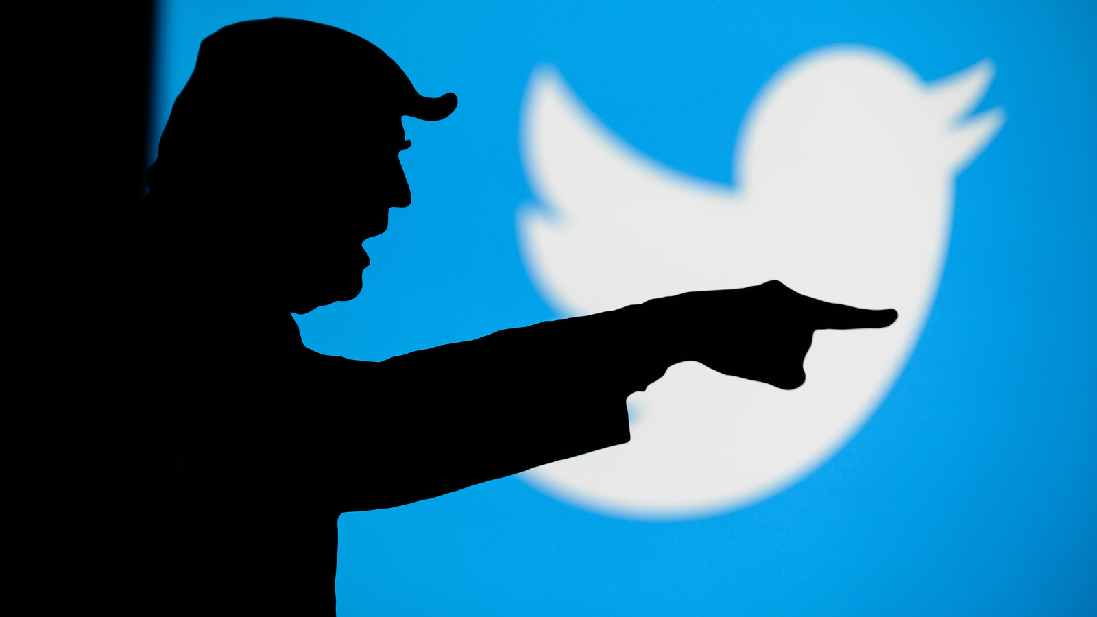 musk-s-latest-twitter-poll-asks-whether-to-unban-trump-slashgear