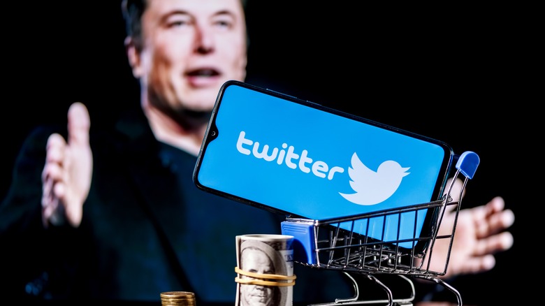 Elon Musk against the backdrop of Twitter logo. 