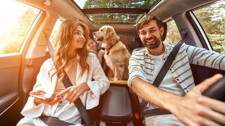 family driving with dog