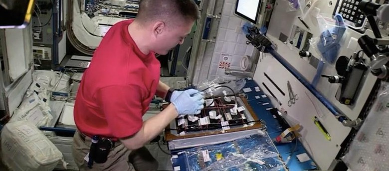 NASA moves from growing veggies to flowers on the ISS