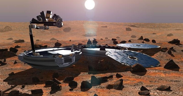 beagle-2