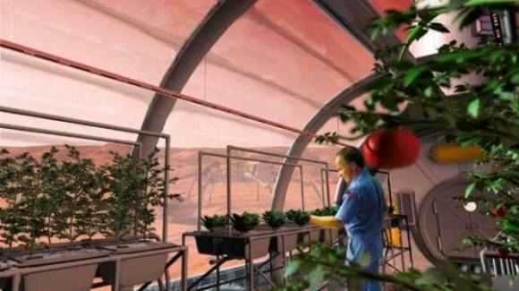 nasa-plans-on-planting-basil-flowers-and-turnips-on-the-moon-by-2015