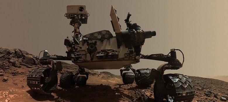 selfiecuriosity