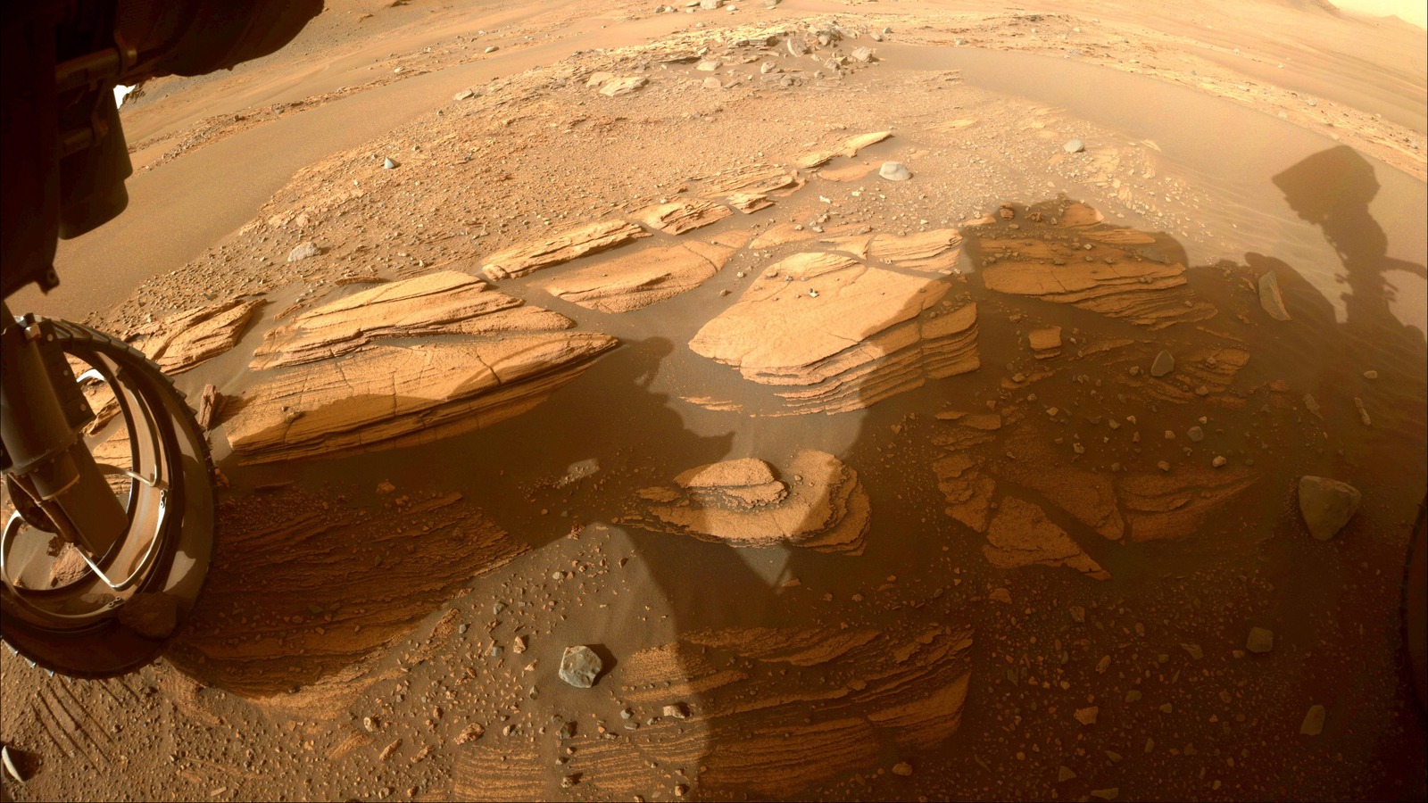 NASA's Mars Rover Found Organic Matter That Has Experts Fascinated