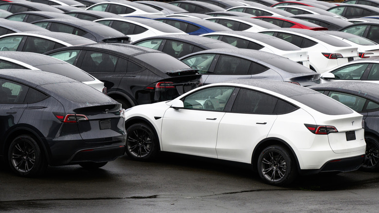 Rows of Tesla vehicles parked in lot