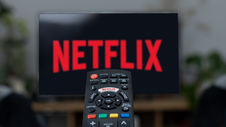 netflix screen remote control