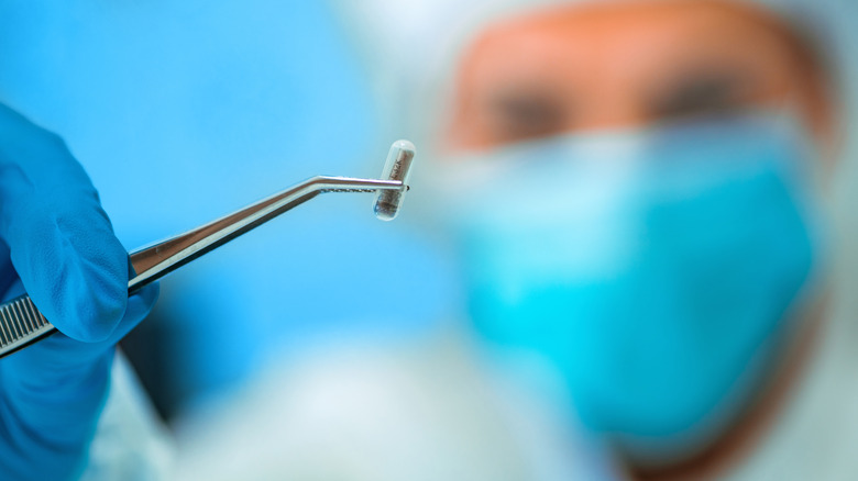 The doctor holds the RFID implant with tweezers