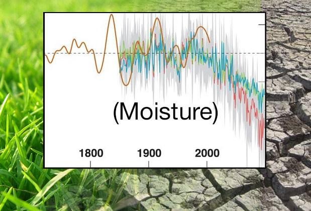 moisture