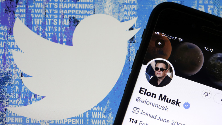 Elon Musk's Twitter profile against the backdrop of company logo.