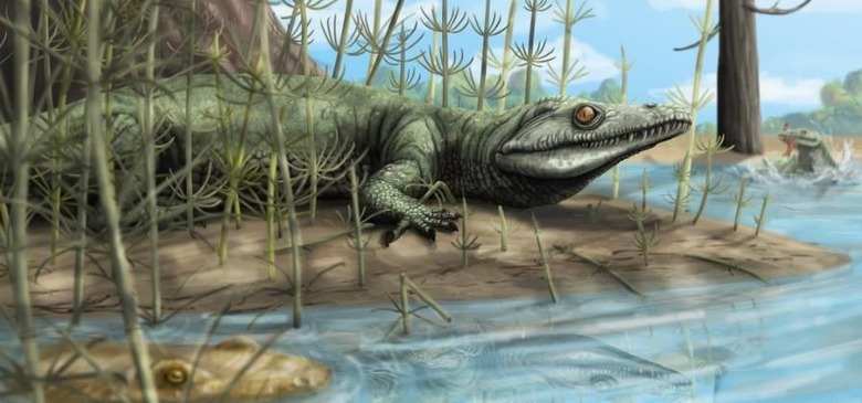 New reptile species discovered with 250 million year old fossil