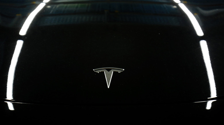Tesla Model 3 hood close up