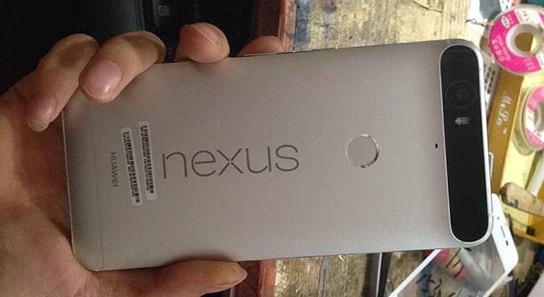 nexus