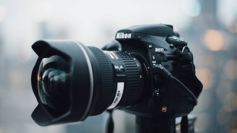 Nikon DSLR Owners Can Finally Transfer RAW Images With SnapBridge